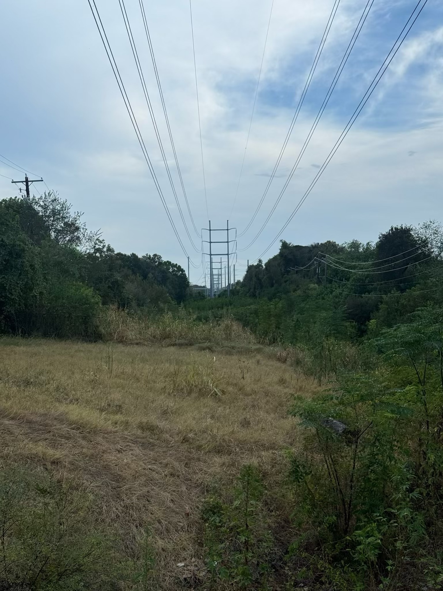 03-biking-around-austin