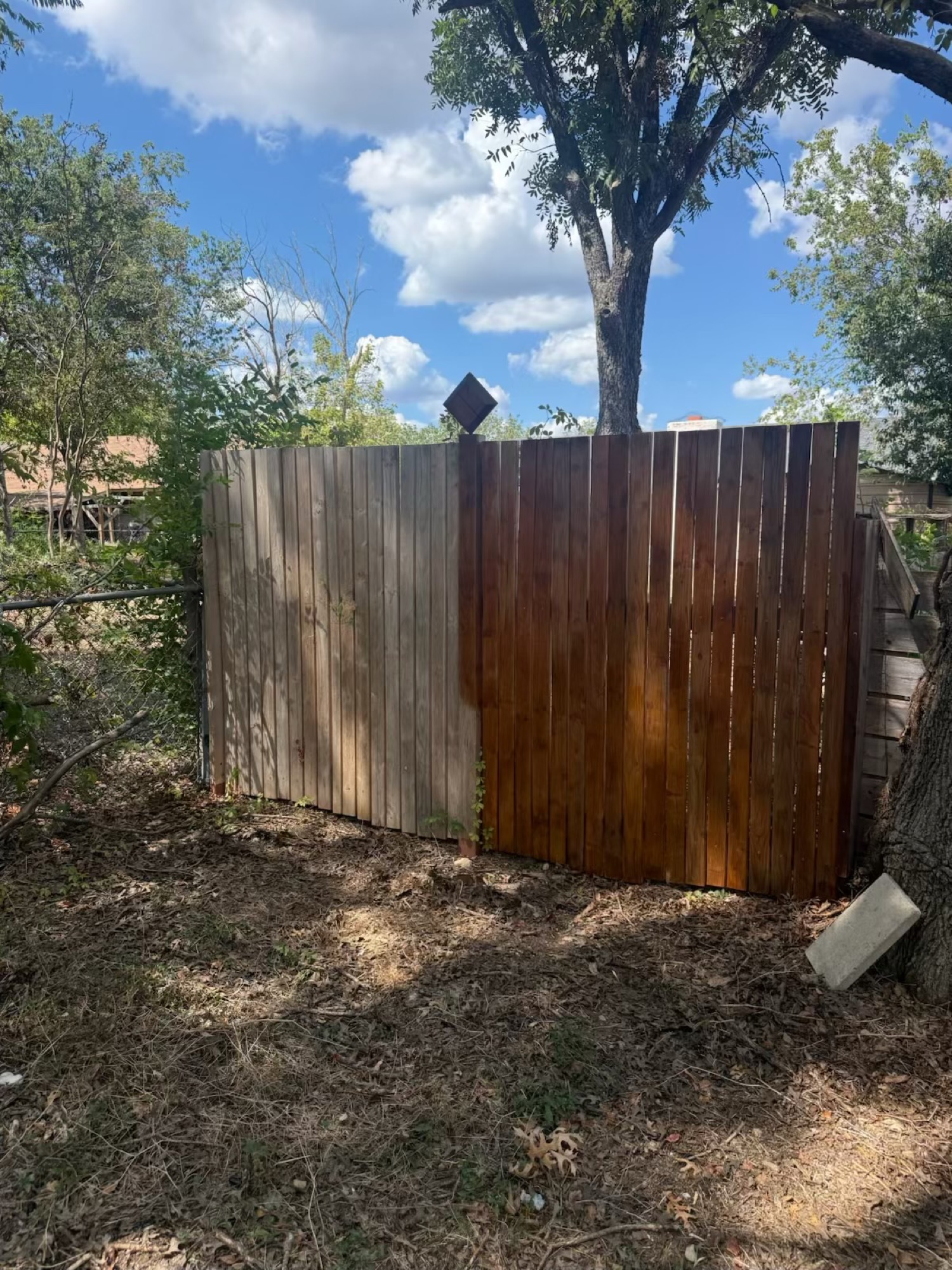 staining-the-fence image 1